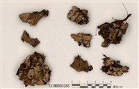 藏品(長根地卷)的圖片